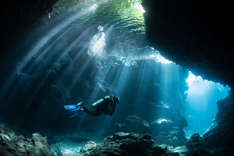 jungle canopy with scuba diving