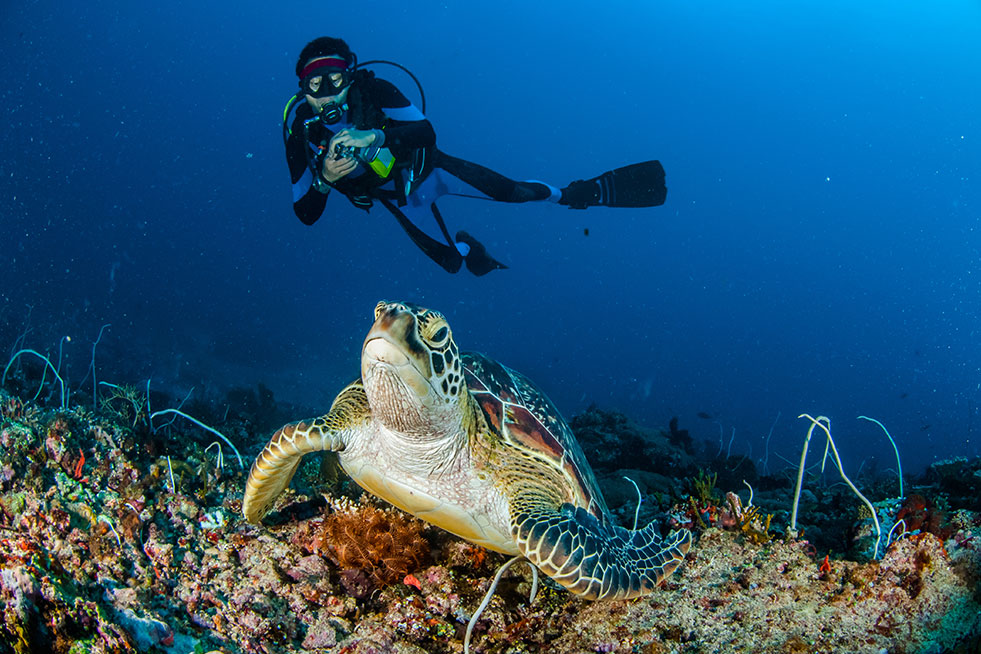 Scuba Diving