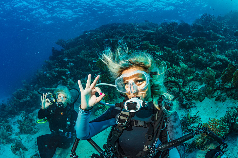 Under water diving by scuba diver