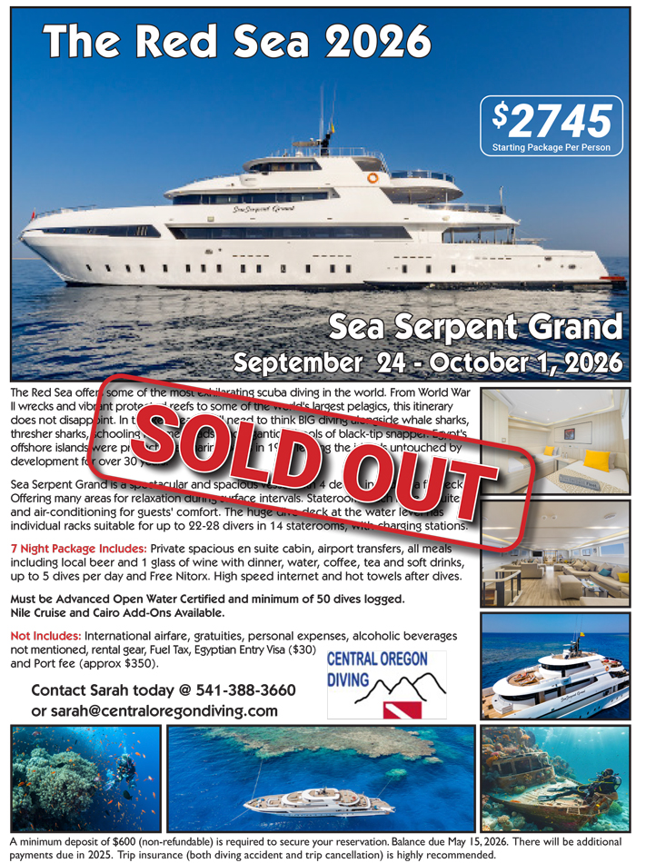 Red Sea Sold Out Flier