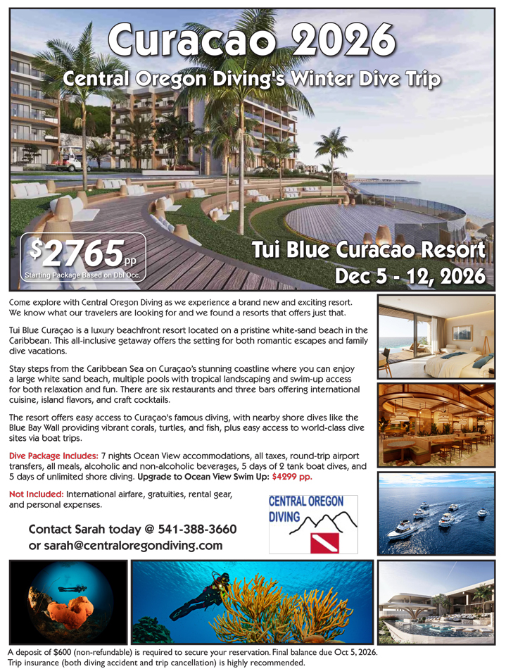 Red Sea Sold Out Flier