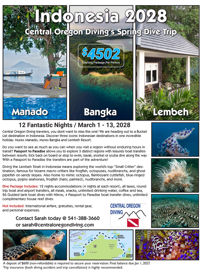 Red Sea Sold Out Flier