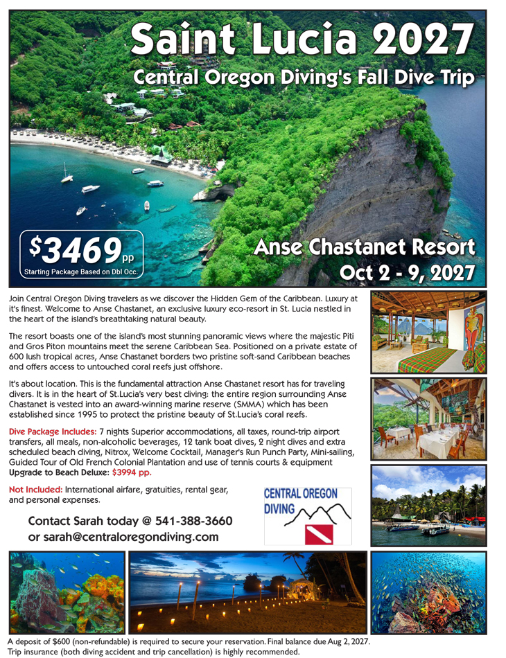 Red Sea Sold Out Flier